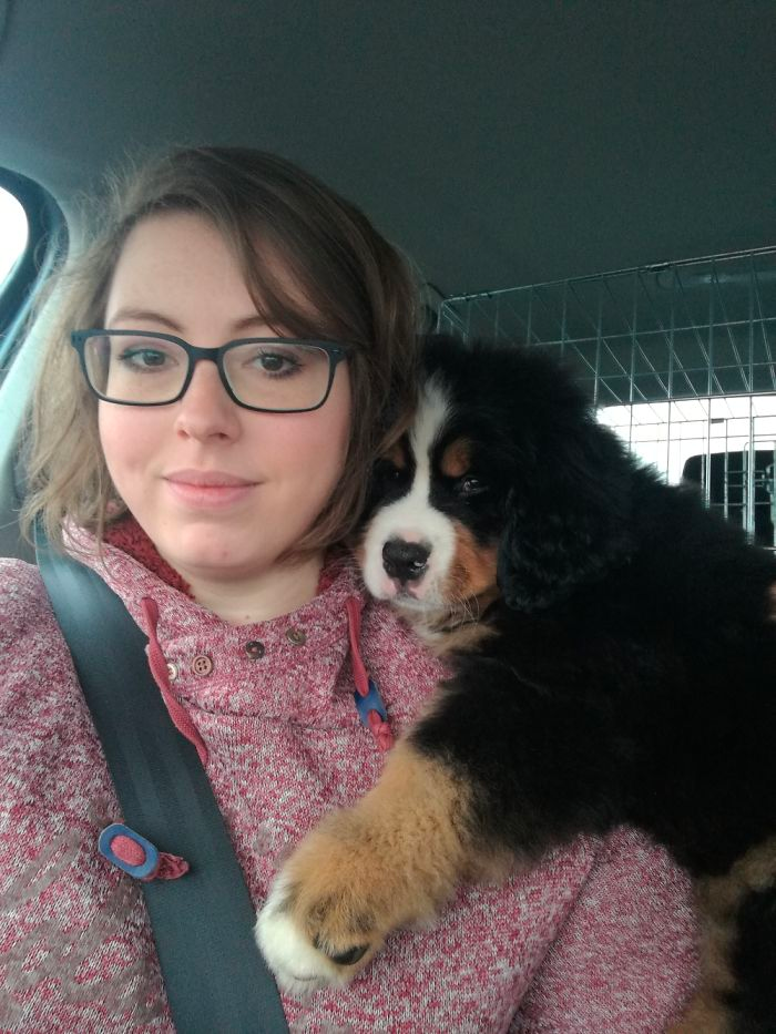 cute dog