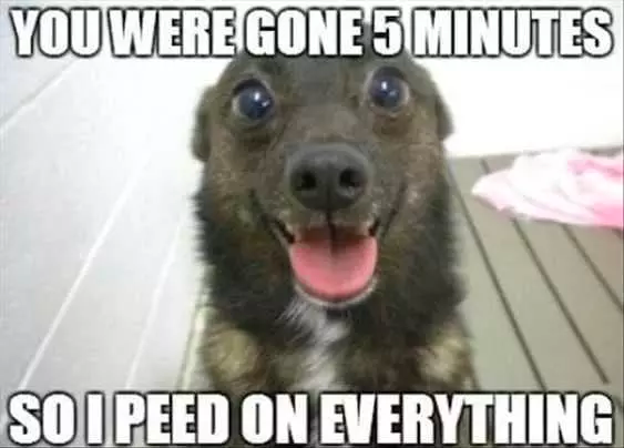 if you have a bad day...