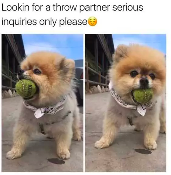 if you have a bad day...