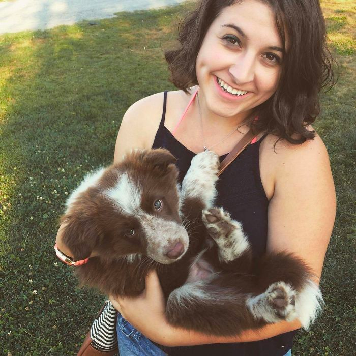 cute dog