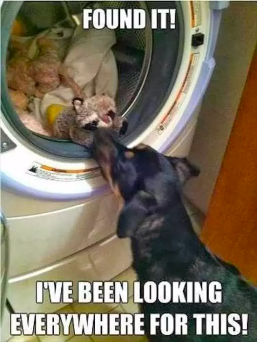 funny moment