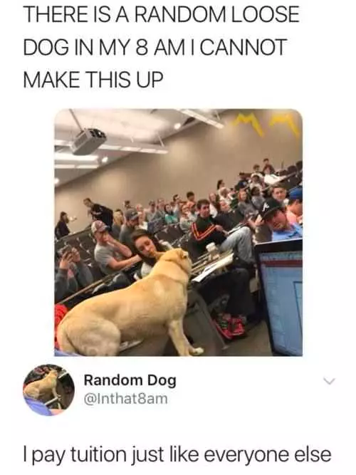 funny moment