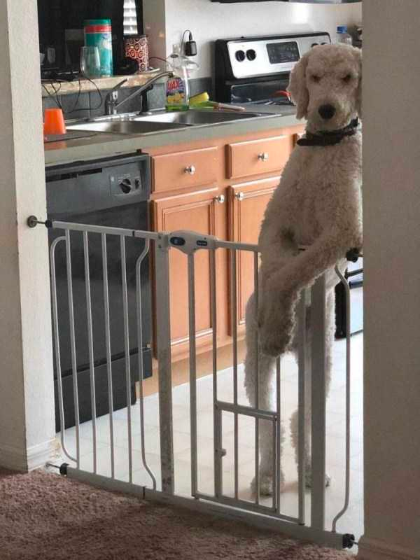 how funny these animal can be...