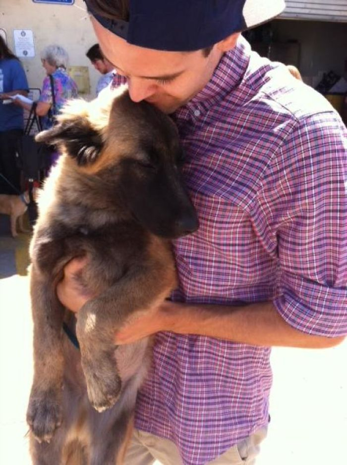 cute dog
