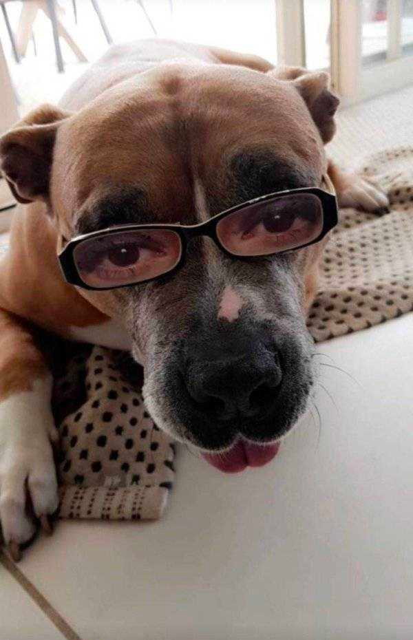 how funny these animal can be...