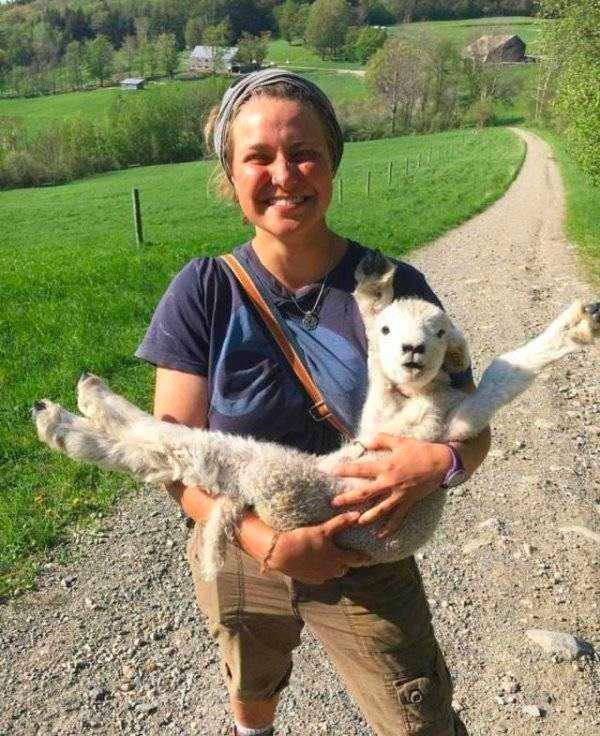 how funny these animal can be...