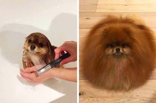 how funny these animal can be...
