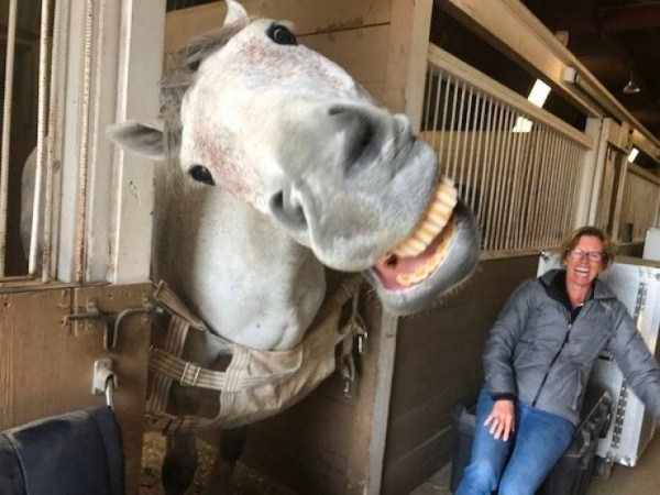 how funny these animal can be...