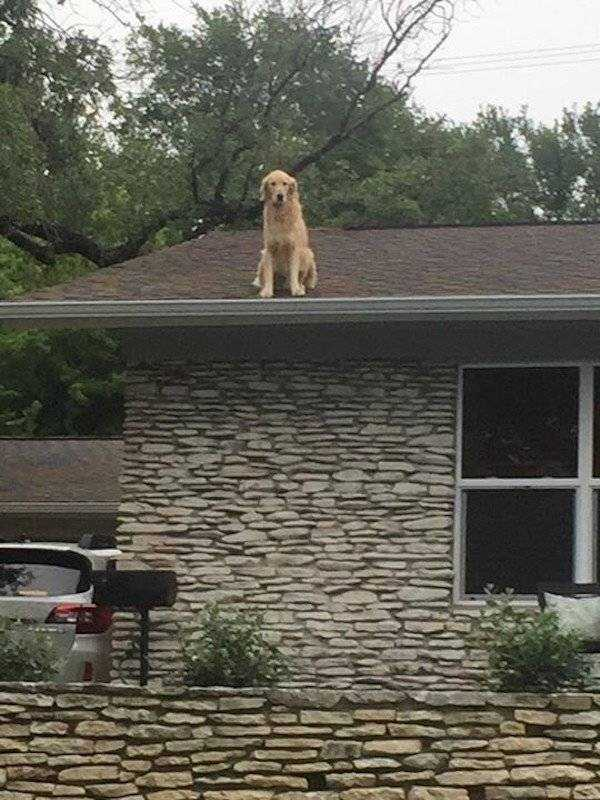 how funny these animal can be...