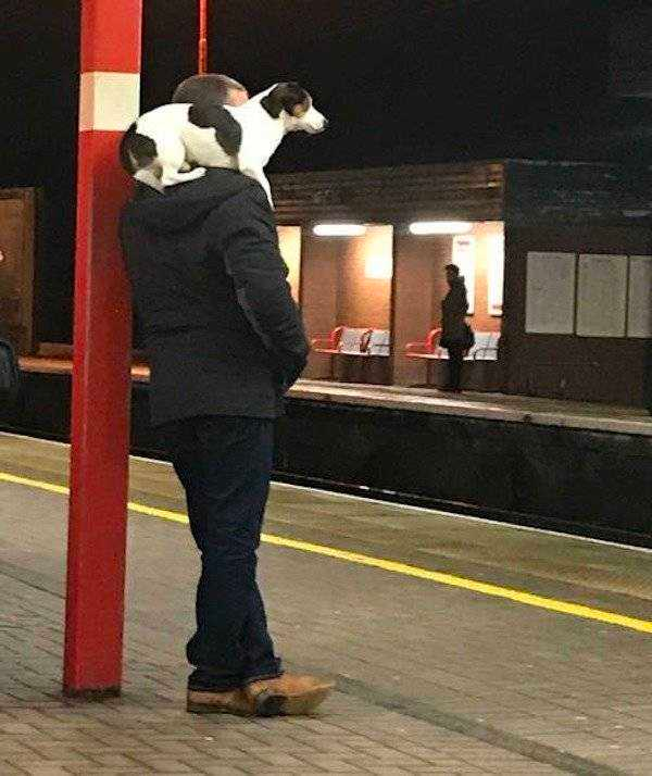 how funny these animal can be...