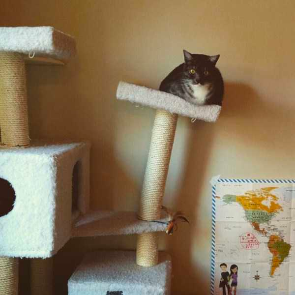 how funny these animal can be...