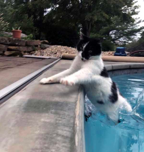 how funny these animal can be...