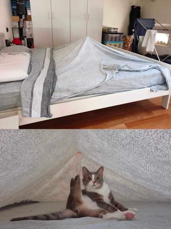 how funny these animal can be...
