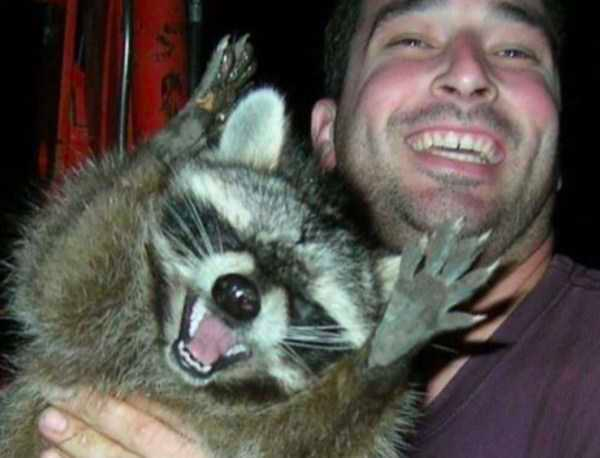 how funny these animal can be...