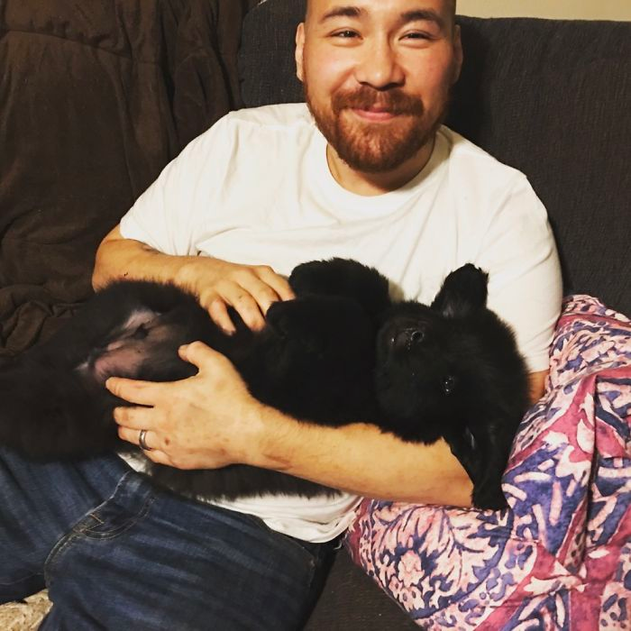 cute dog