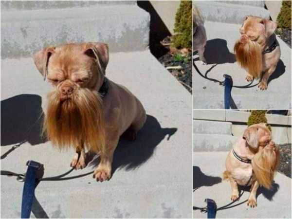 how funny these animal can be...
