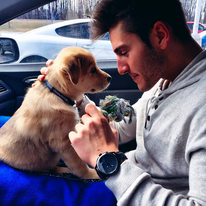 cute dog