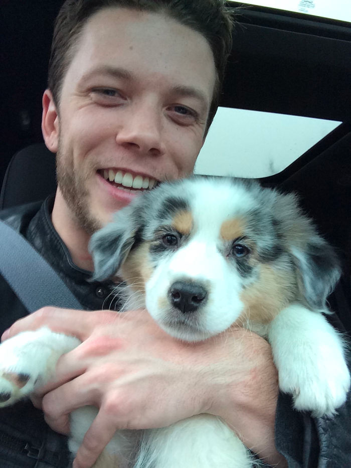 cute dog