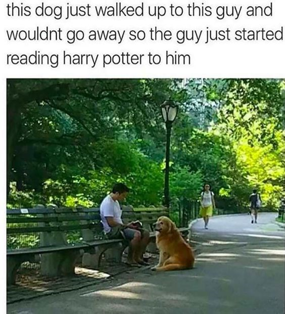 funny moment