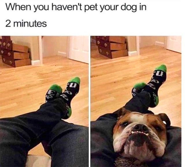 funny moment