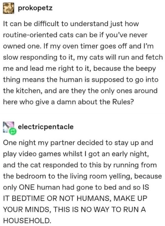 funny life, funny memes
