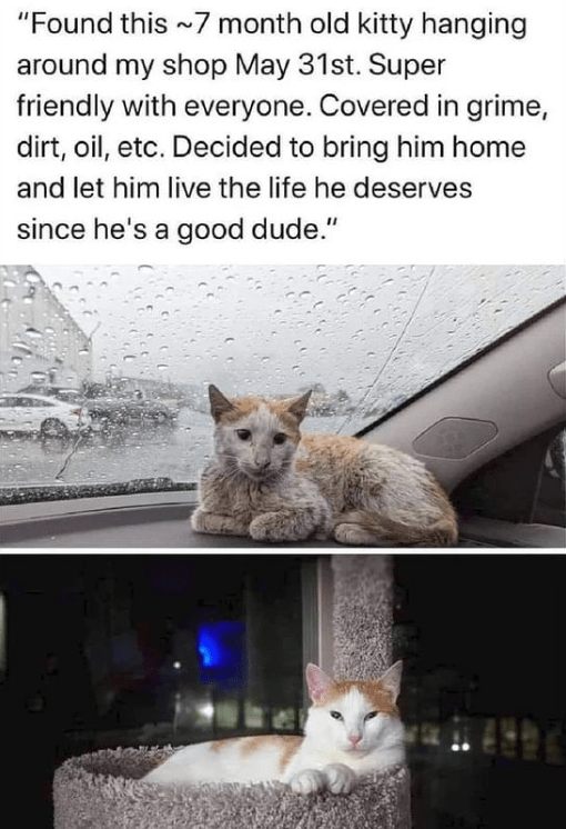 funny life, funny memes