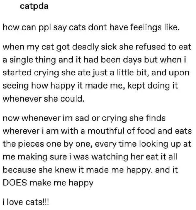 funny life, funny memes