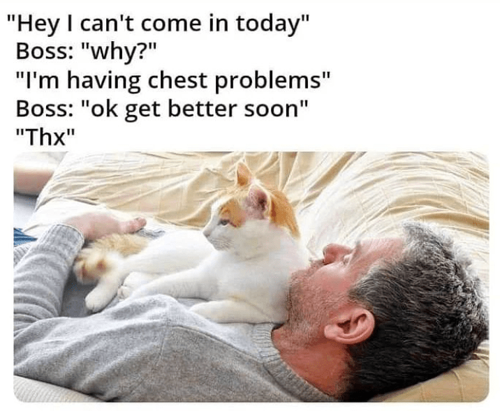 funny life, funny memes