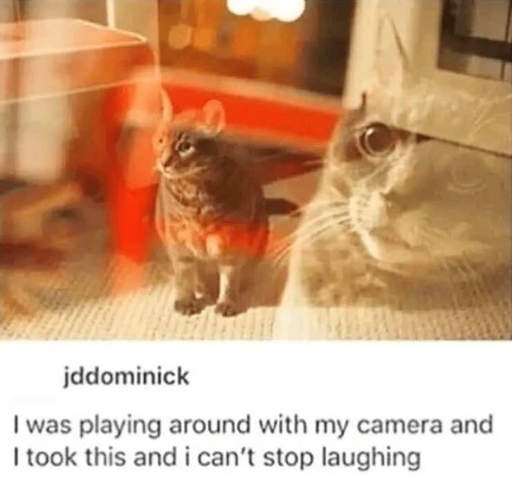 funny life, funny memes
