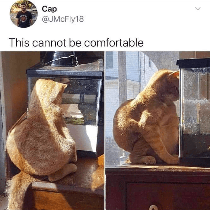 funny life, funny memes