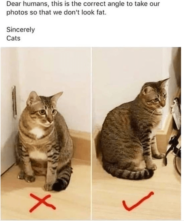 funny life, funny memes