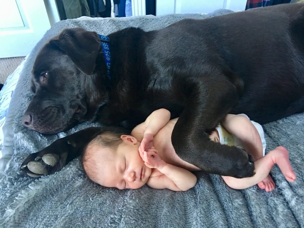 baby and dog