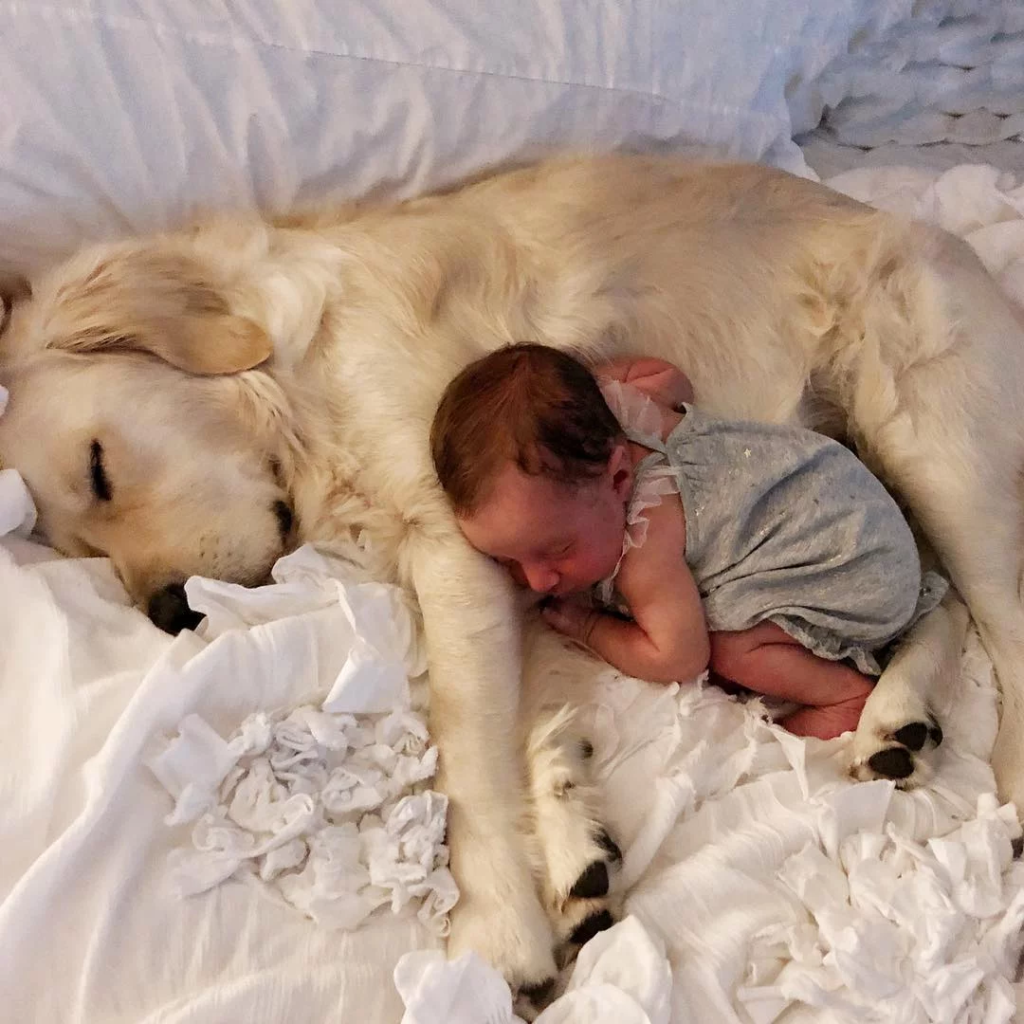 baby and dog