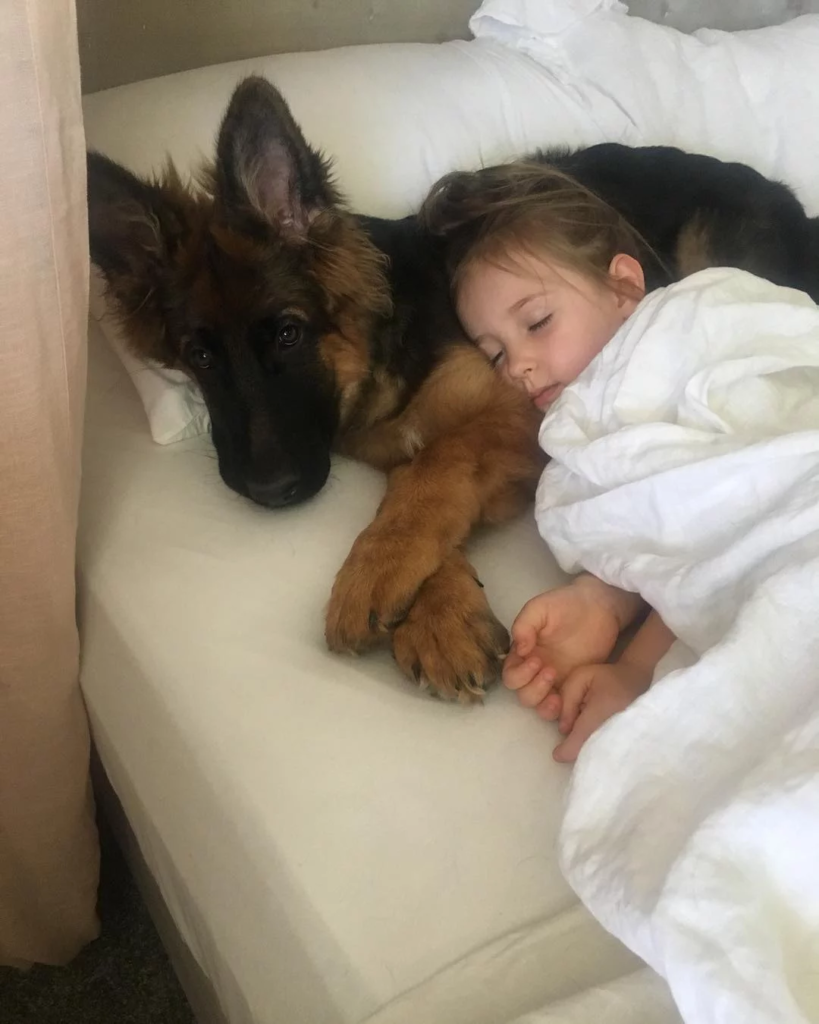 baby and dog