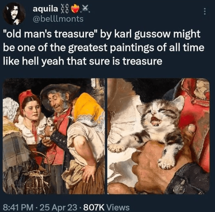 cat person will love it