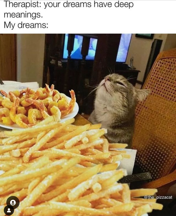 cat person will love it