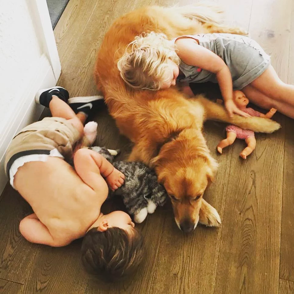baby and dog