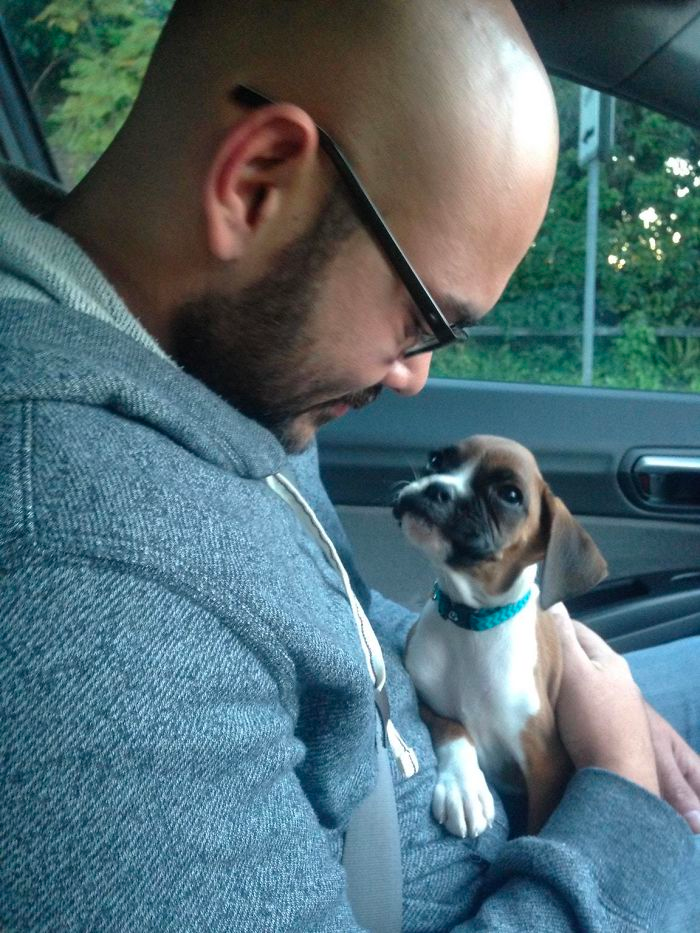 cute dog