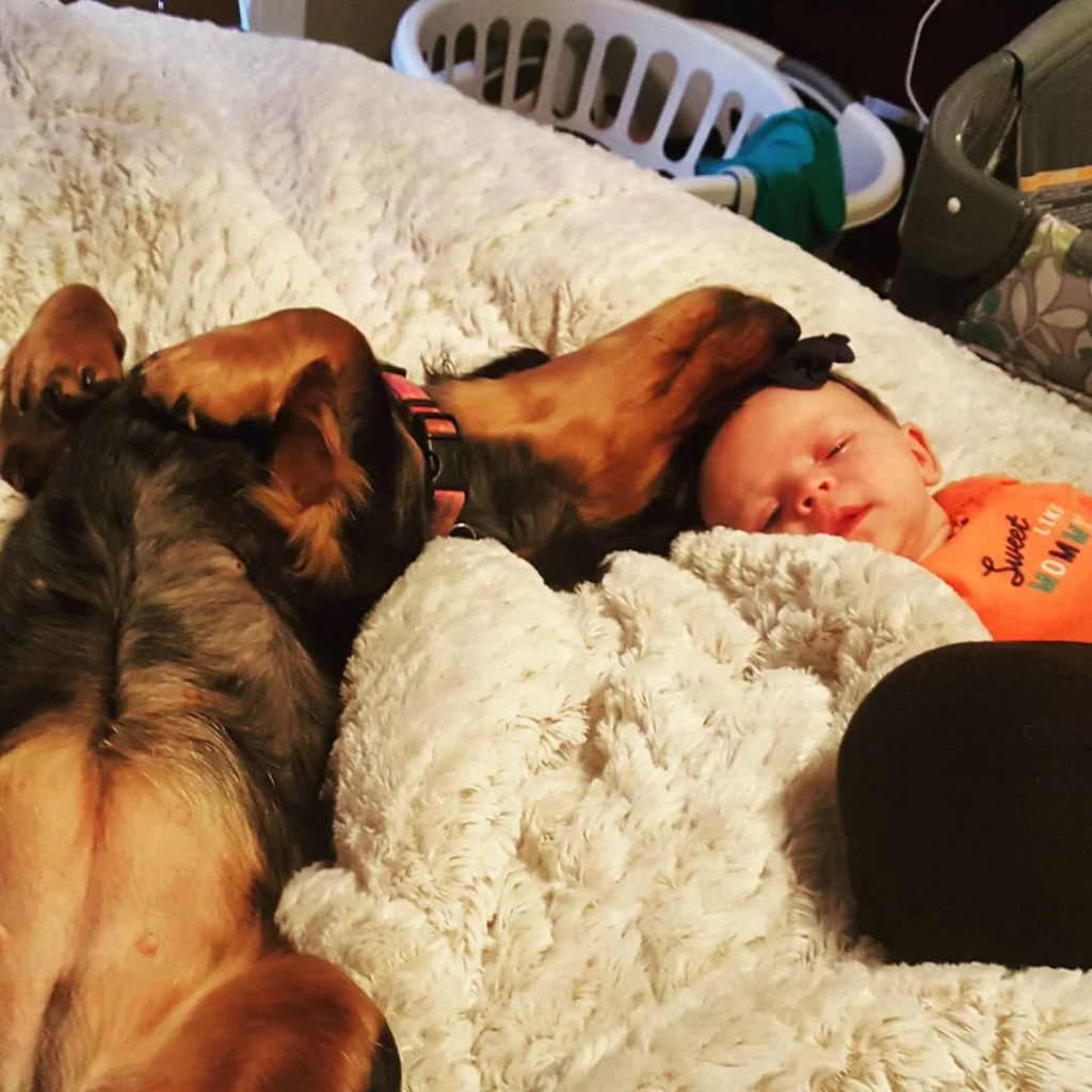 baby and dog