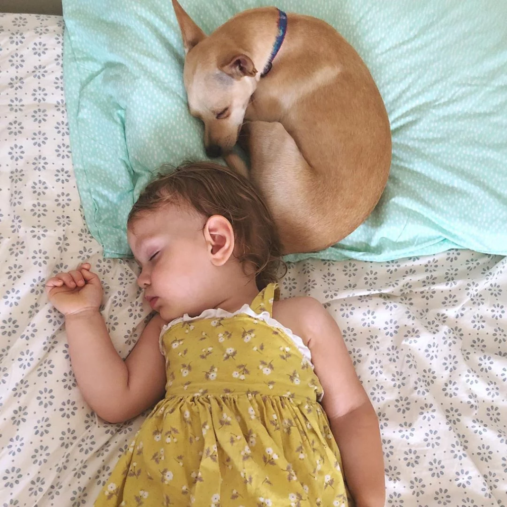 baby and dog
