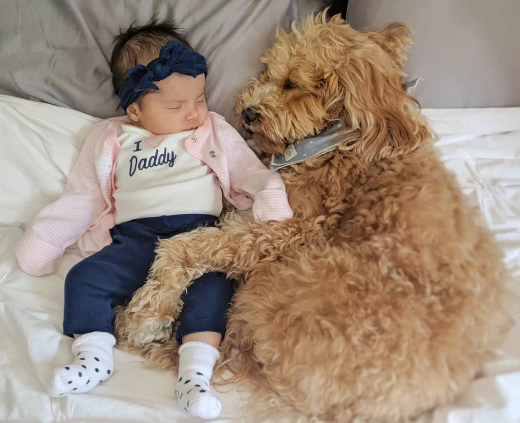 baby and dog