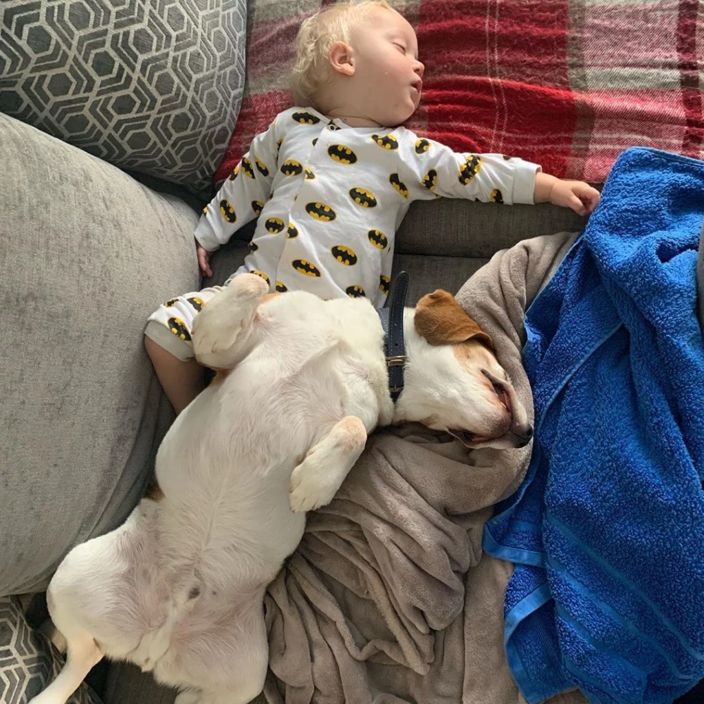 baby and dog
