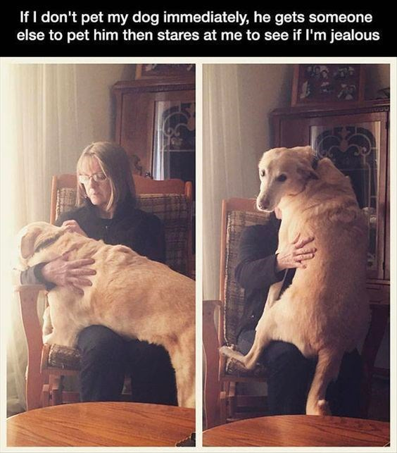 your girlfriend will be jealous...