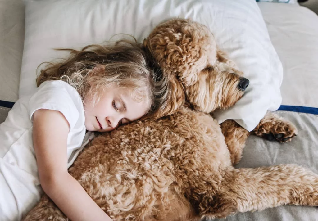 baby and dog