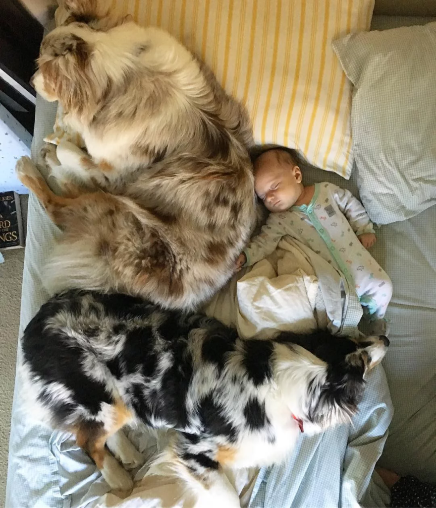 baby and dog