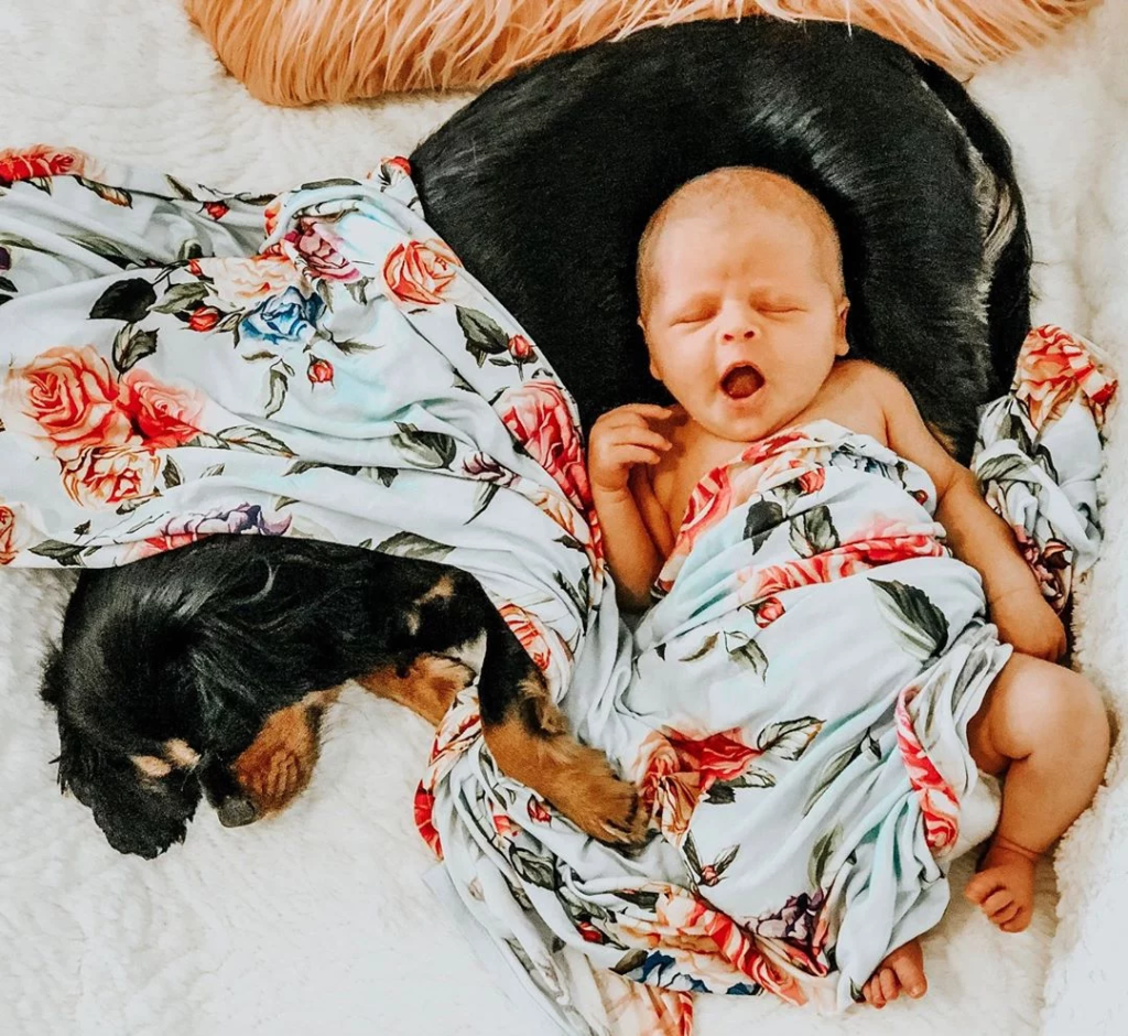 baby and dog