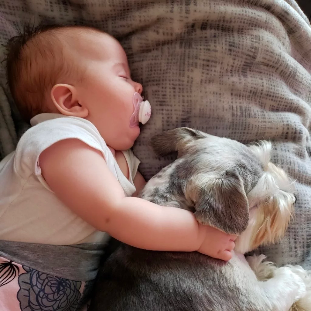 baby and dog