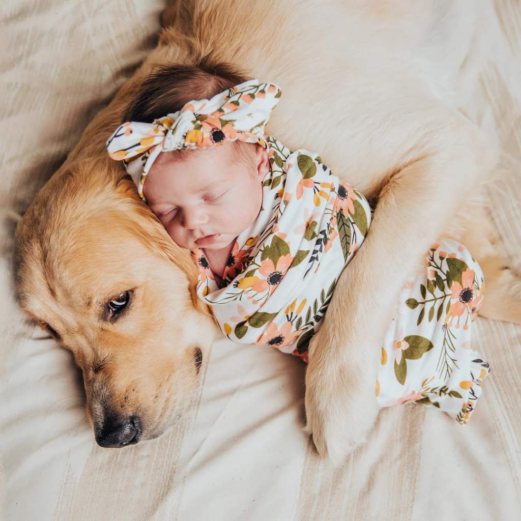 baby and dog