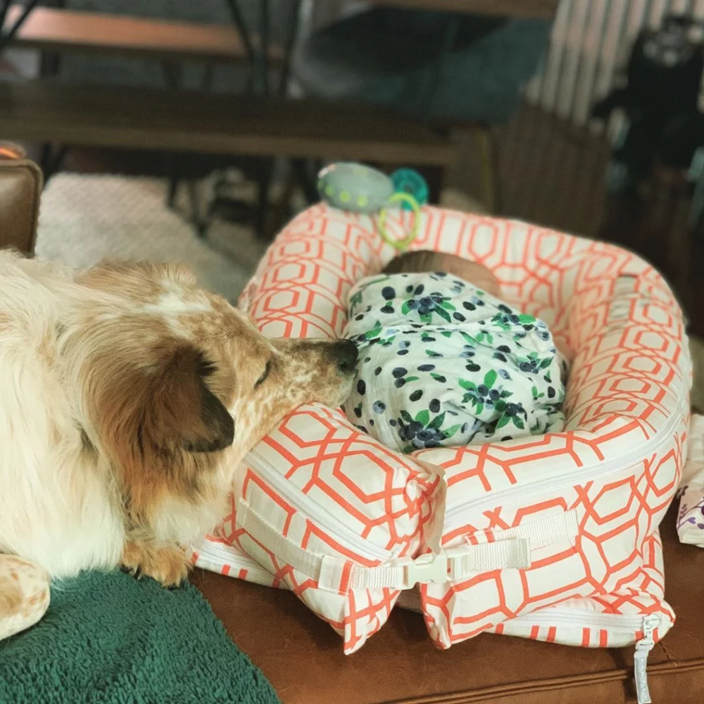 baby and dog