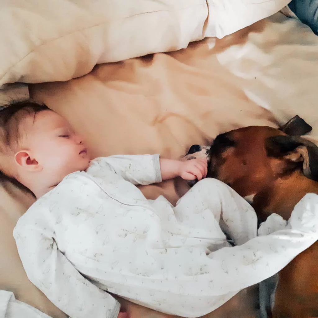 baby and dog